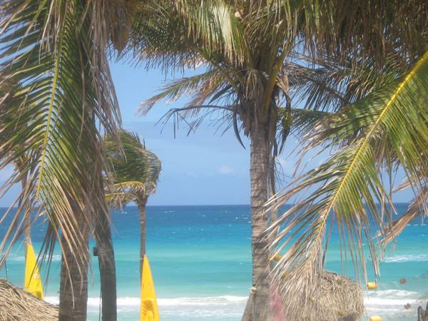 Palm trees over turquoise sea, thatched umbrellas on a sunny tropical beach