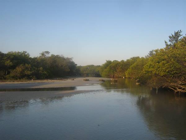 Cuban river