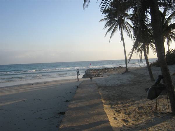 Concrete path between palms on the beach, man near the waves