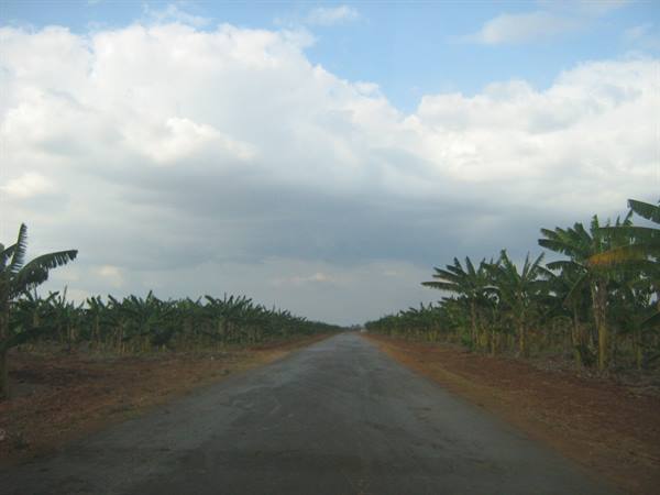 On the road