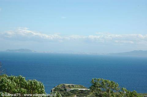 blue sea with distant islands on the horizon, Mediterranean shrubs in the foreground