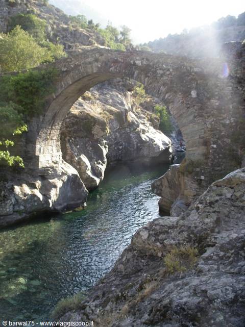 Old stone arch bridge over a green river among rocks in sunlight