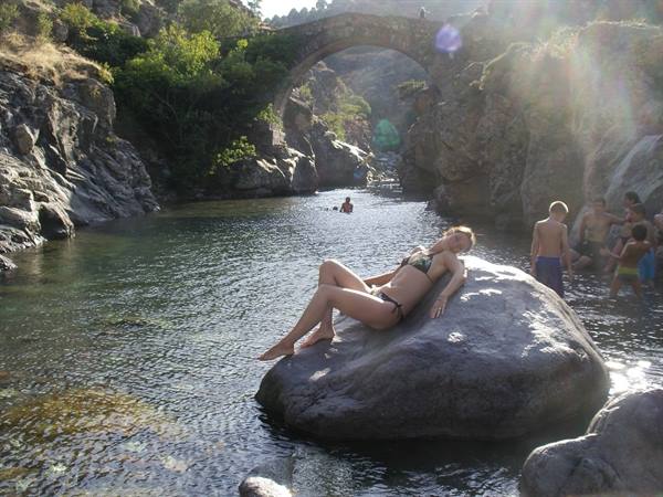 Genoese bridge