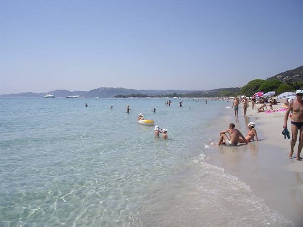 Bathers on pale sand and clear turquoise water, crowded beach under sunny sky
