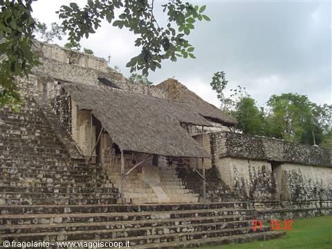 Stone steps of a Mayan temple with thatched roof cover, among trees