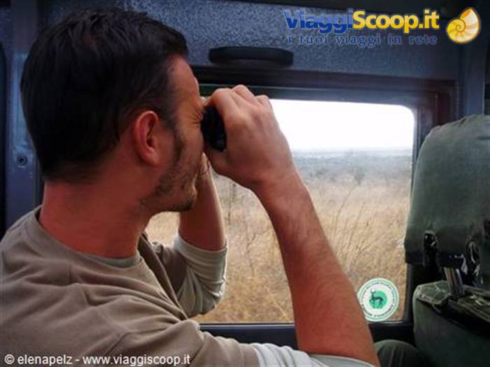 Safari ...