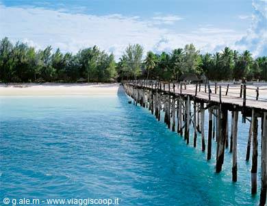 Wooden pier over turquoise sea with white beach and palms