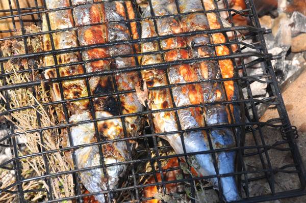Barbecue of very fresh fish