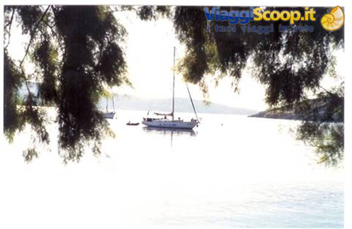 Sailboats anchored in a calm bay, framed by green branches, soft light
