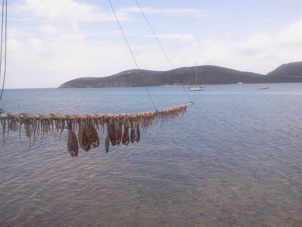 Antiparos
