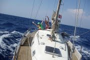 La Gatta va