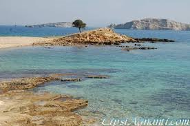 Monodendri again