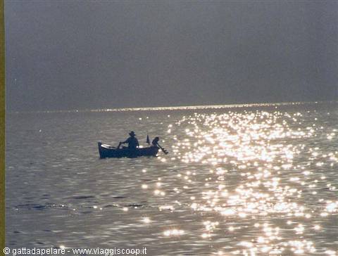 Fisherman rowing a small boat on sparkling sunlit sea