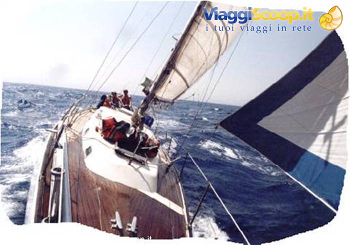 Crew sailing a yacht in choppy sea, spinnaker flying