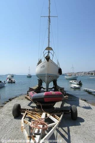 The launch