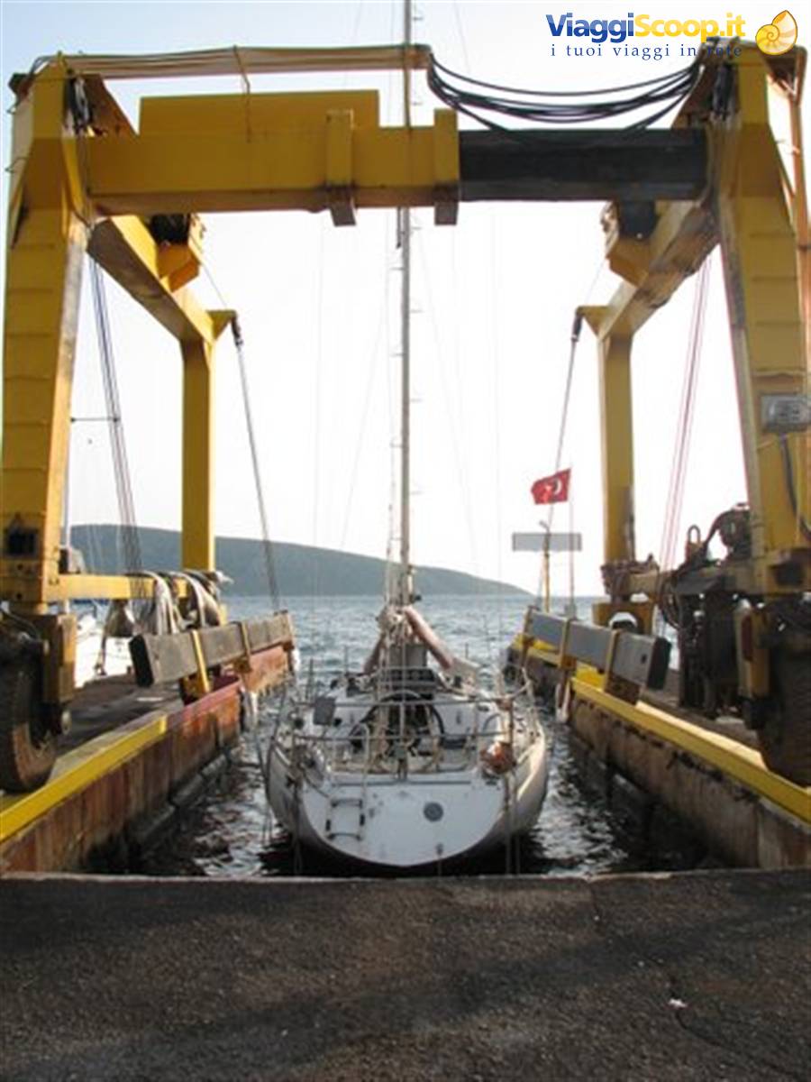 Gattadapelare goes into the water