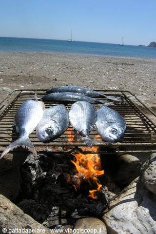 Psarì grilled