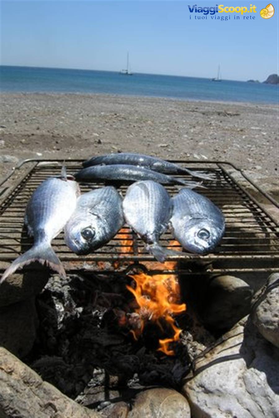 Psarì grilled