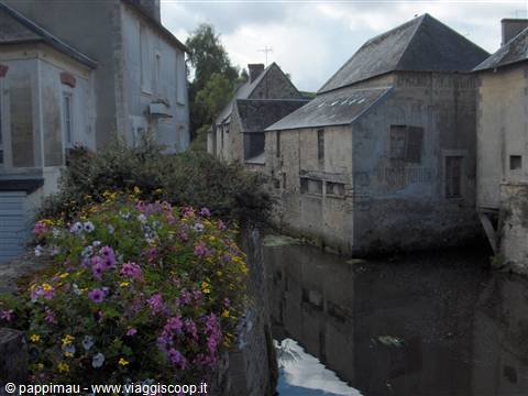 Old stone houses along a canal, colorful flowers in the foreground