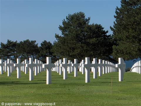 Rows of white crosses at the American cemetery in Omaha Beach, under pines
