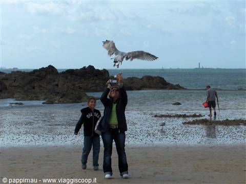 Woman photographs a flying seagull on the beach, child beside her