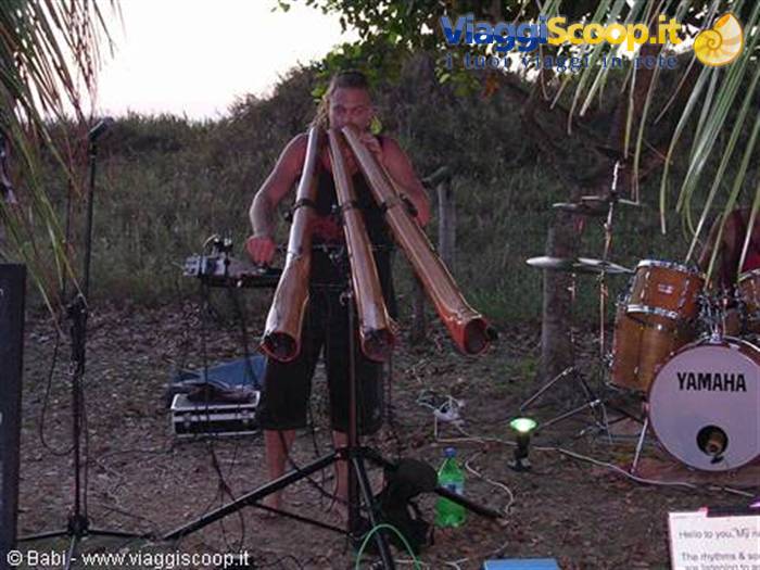 Musician playing large wooden didgeridoos among palm trees, Yamaha drums nearby
