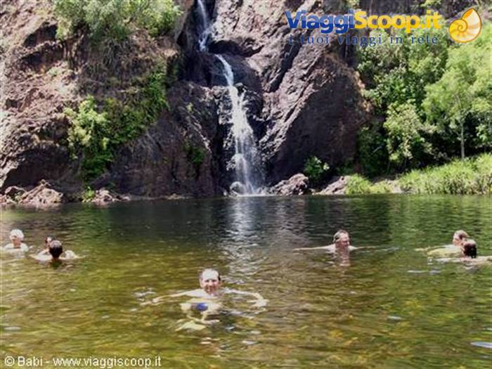 Swimmers in green pool beneath a rocky waterfall