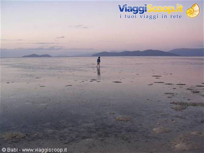 Person walking on shallow water at Wade Bridge, pink twilight sky