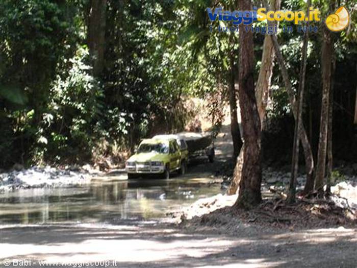Yellow car crossing a muddy forest ford, towing a trailer