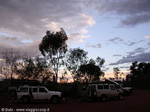 Camper four-wheel drives parked at camp among Australian trees under evening clouds