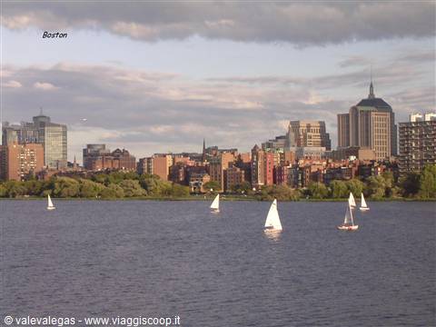 White sailboats glide on the river in front of Boston's skyscrapers