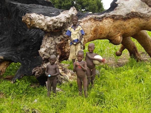 Suri children under a fallen baobab trunk, among green grass and natural light