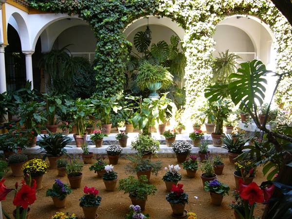 patio in Cordoba