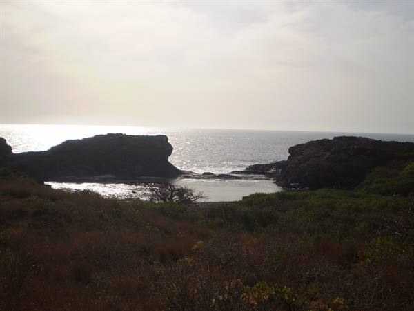 Volcanic rock cliffs against the silvery sea, dry vegetation in the foreground
