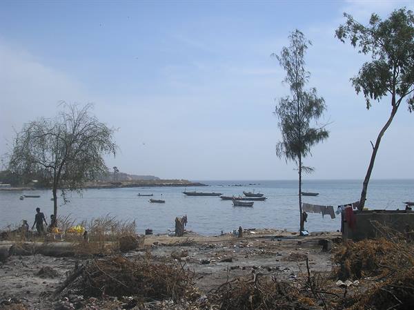 Motorboats moored along the shore, fishermen among trees under clear sky
