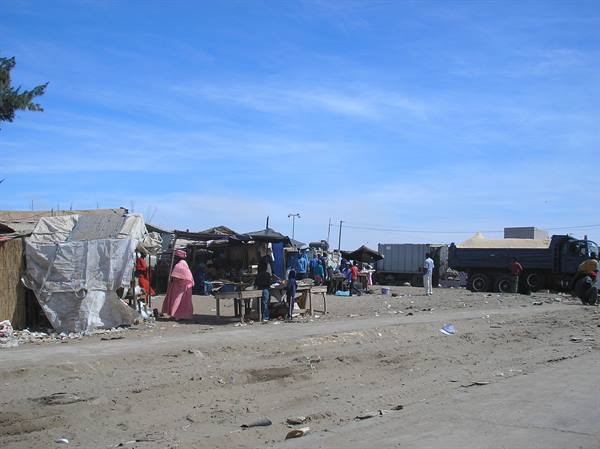 Roadside market with tarp stalls, woman in pink, blue truck, clear sky