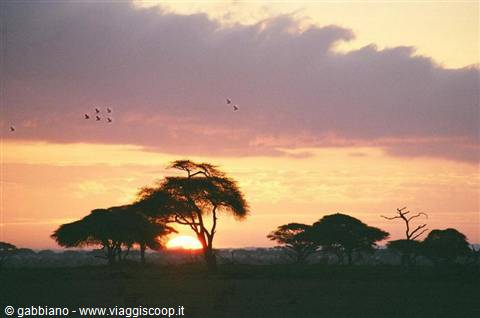 sunset over the tsavo savannah