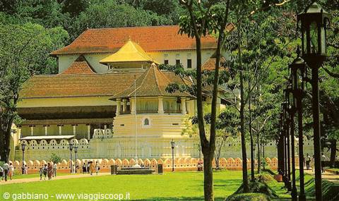 temple of the tooth of buddha
