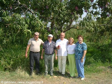 la finca (the farmstead)