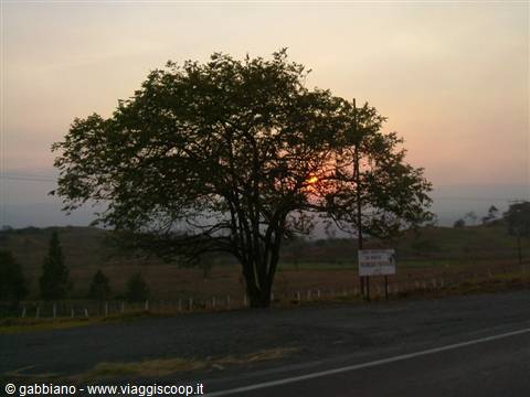 Venezuelan sunsets