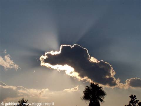 the cloud