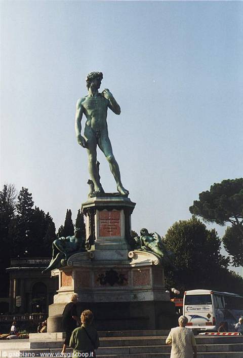 david