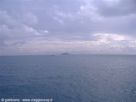 hydrofoil and cerboli