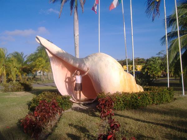 caracol