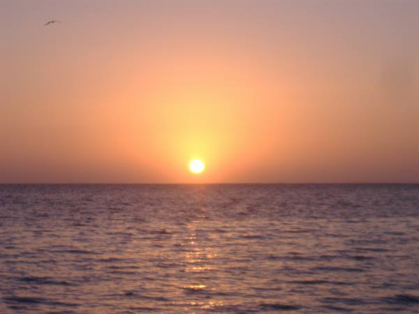 dawn caracol