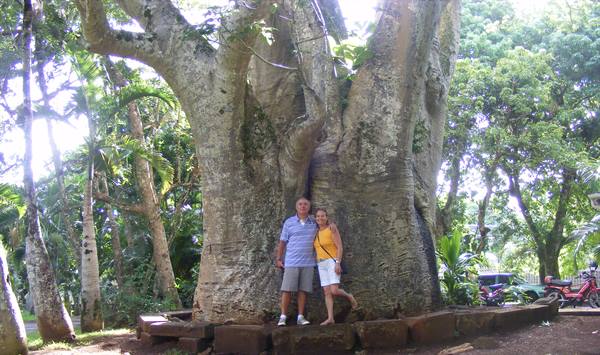 under a baobab