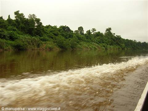 CANOE TRIP IN TAMAN NEGARA