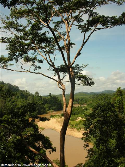 THE WILD HEART OF TAMAN NEGARA