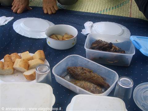Lunch