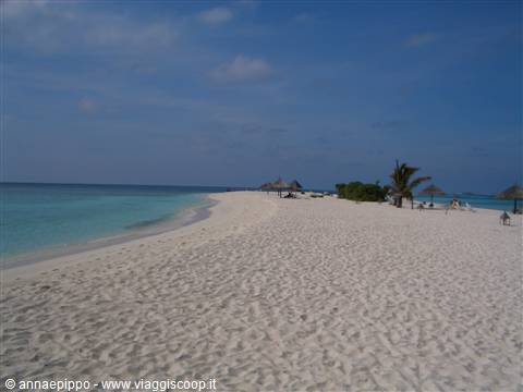 The long sand spit